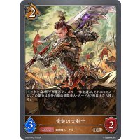 竜装の大剣士[SVE_DSD01b-017_BR]