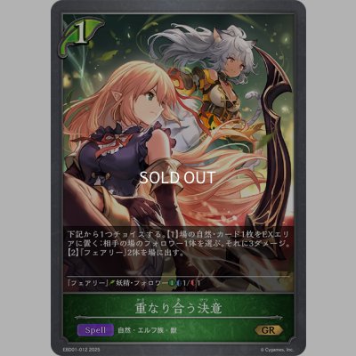 画像1: 重なり合う決意[SVE_EBD01-012_GR]