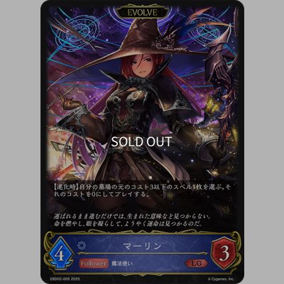 画像1: 【EVOLVE】マーリン[SVE_EBD02-005_LG]