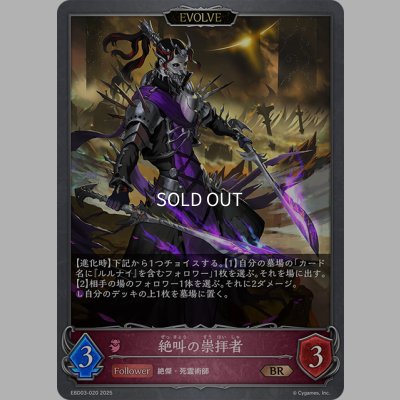 画像1: 【EVOLVE】絶叫の崇拝者[SVE_EBD03-020_BR]