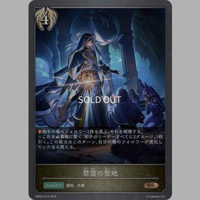画像1: 禁密の聖地[SVE_EBD04-019_BR]