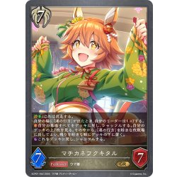 画像1: マチカネフクキタル[SVE_ECP01-052_GR]