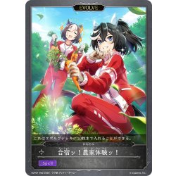 画像1: ★プレミアム★【EVOLVE】合宿ッ！農家体験ッ！[SVE_ECP01-62]