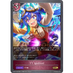 画像1: ★GRプレミアム★TT Ignition![SVE_ECP01-P25_GR]