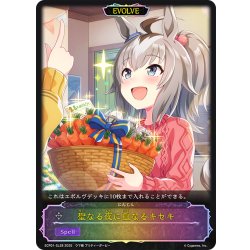 画像1: ★SLプレミアム★【EVOLVE】聖なる夜に重なるキセキ[SVE_ECP01-SL28_SL]