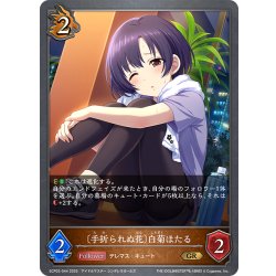 画像1: 〔手折られぬ花〕白菊ほたる[SVE_ECP02-044_GR]