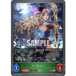 画像1: 【EVOLVE】アーチャー[SVE_ETD03-016BR]
