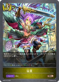 猛襲[SVE_SD02-015BR]