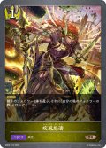 疾風怒濤[SVE_SD02-016BR]