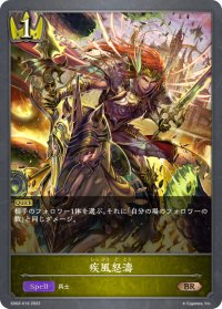 疾風怒濤[SVE_SD02-016BR]
