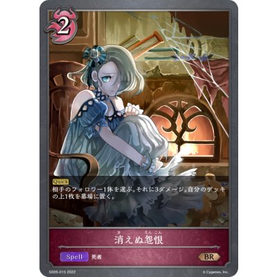 画像1: 消えぬ怨恨[SVE_SD05-015BR]