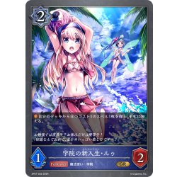 画像1: ★プレミアム仕様★学院の新入生・ルゥ[SVE_SP01-025_GR]