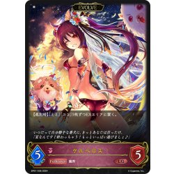 画像1: 【EVOLVE】ケルベロス[SVE_SP01-036_LG]