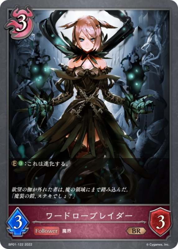 画像1: ワードローブレイダー[SVE_BP01-122BR] (1)