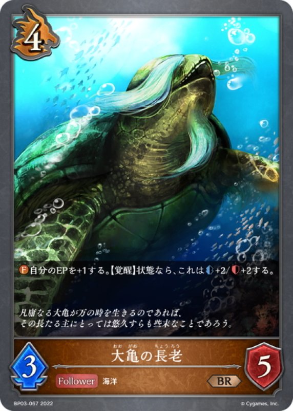 画像1: 大亀の長老[SVE_BP03-067BR] (1)