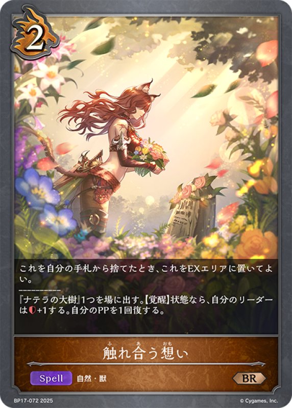 画像1: 触れ合う想い[SVE_BP17-072_BR] (1)