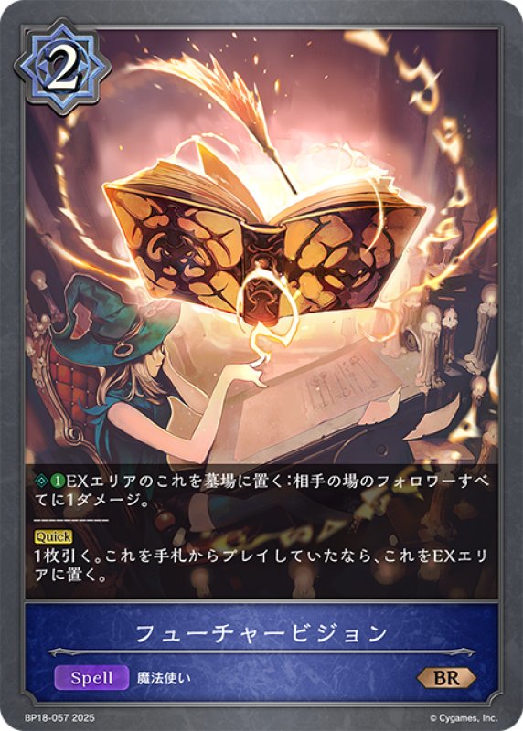 画像1: フューチャービジョン[SVE_BP18-057_BR] (1)