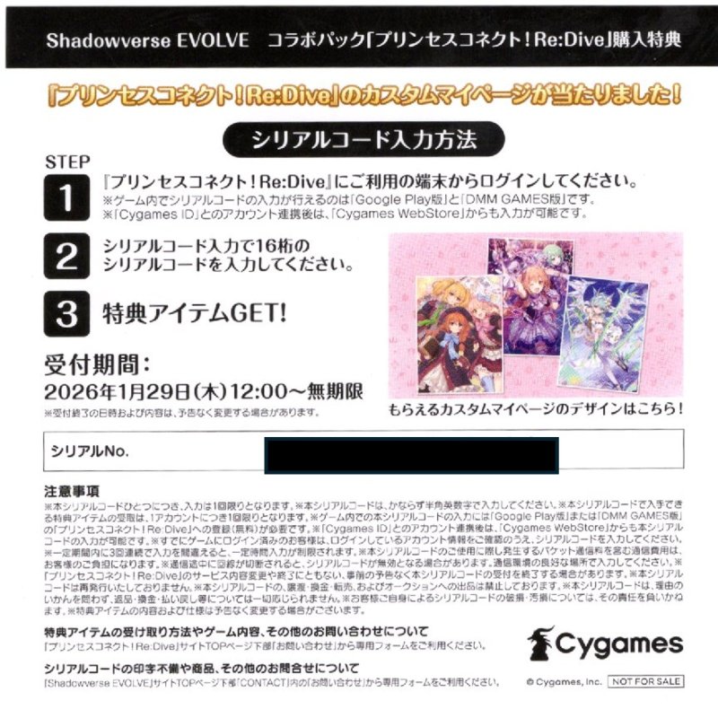 画像1: 【CP04 BOX購入特典】「プリンセスコネクト! Re:Dive」カスタムマイページ用シリアルコードB[SVE_CP04-codeB] (1)