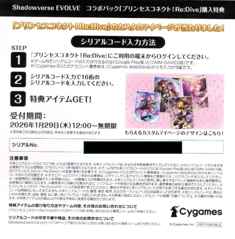 画像1: 【CP04 BOX購入特典】「プリンセスコネクト! Re:Dive」カスタムマイページ用シリアルコードC[SVE_CP04-codeC] (1)