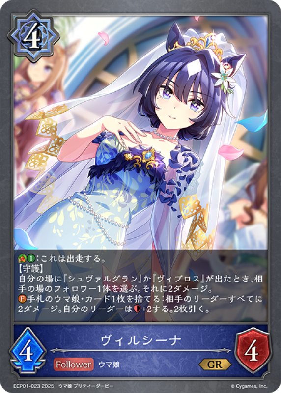 画像1: ヴィルシーナ[SVE_ECP01-023_GR] (1)