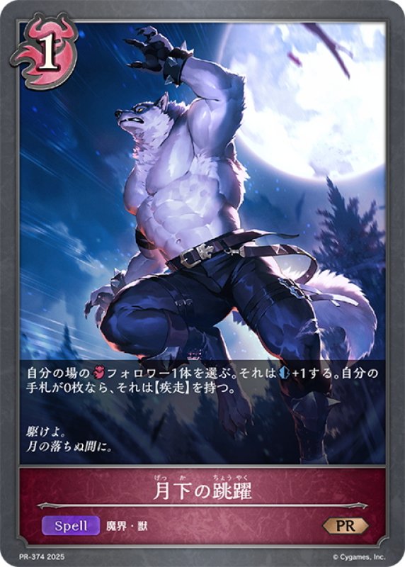 画像1: ★PR版プレミアム★月下の跳躍[SVE_PR-374PR] (1)